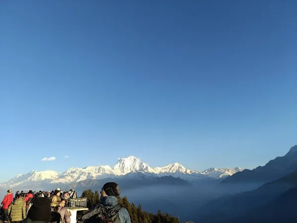 A long Himalayan skyline at first light, seen across a valley of low cloud.